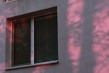 White and Clear Glass Window