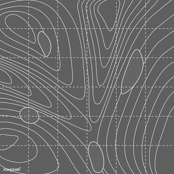 White and gray abstract contour line map | Free stock vector - 554297