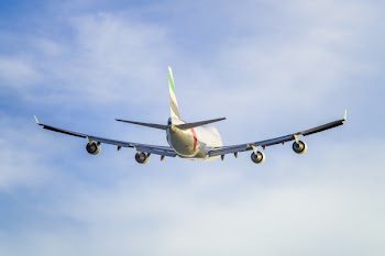 White and Gray Airplane