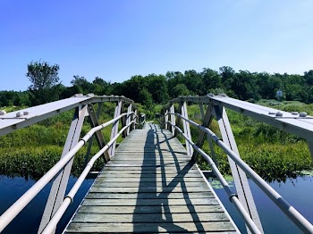 White and Gray Bridge Near Green Leafed Trees