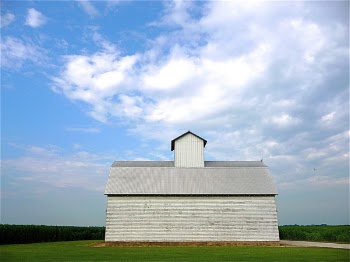 White and Gray Concrete House