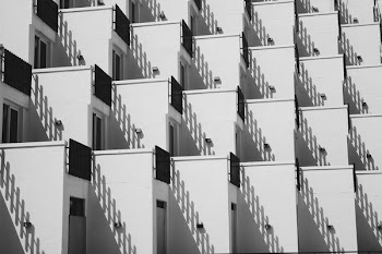 white and gray design