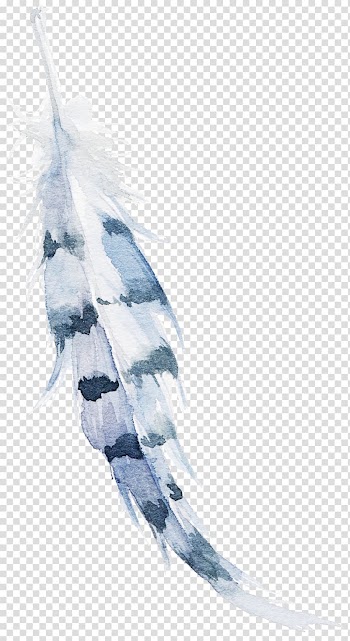 White and gray feather illustration, Feather Dreamcatcher, feather transparent background PNG clipart