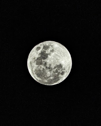 White and Gray Fullmoon