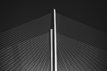 white and gray grid wallpaper