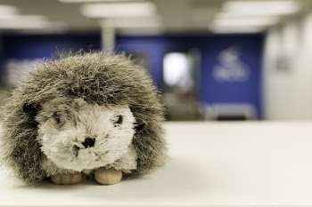 White and Gray Hedgehog Plush Toy on White Table Surface