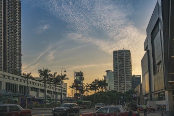 White and Gray High Rise Buildings