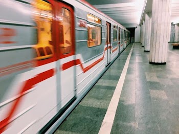 white and gray train on train station