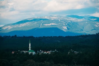 White and Green Dome Building Near Green  Tree