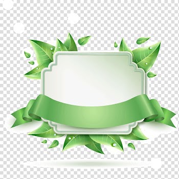White and green floral tray illustration, Banner Istanbul, label,green,Decorative pattern,Poster banner background transparent background PNG clipart