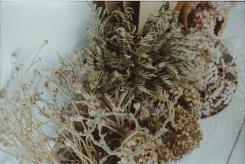 White and Green Leaves