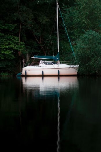 white and green motorboat on body of water