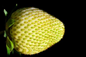 White and Green Strawberry Frut