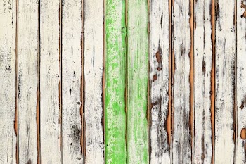 white and green wood planks