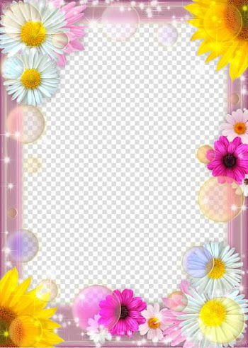 White and multicolored floral frame illustration, frame Display resolution , Mood Frame transparent background PNG clipart