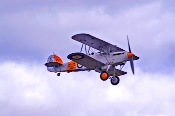 White and Orange Biplane