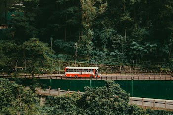 White and Orange Bus on Roadway Near Trees