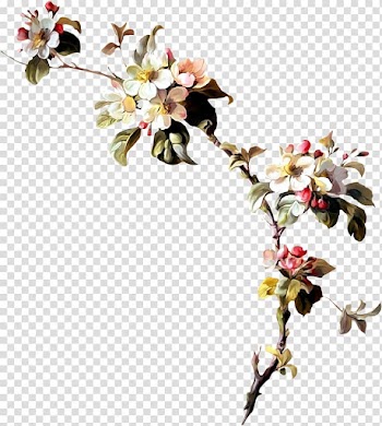 White-and-pink apple blossoms illustration, Flower Wreath , Painted a bouquet of flowers transparent background PNG clipart