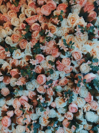 White and Pink Flower Bouquet