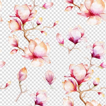White and pink flower graphic art, Southern magnolia Watercolor painting , Pink flowers shading transparent background PNG clipart