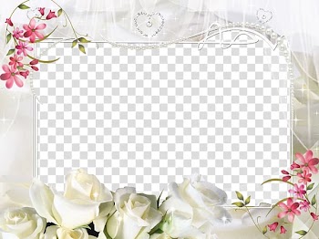 White-and-pink flowers art, frame , White Flower Frame transparent background PNG clipart