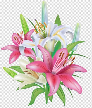 White and pink flowers illustration, Lilium 'Stargazer' Flower , Lilies Flowers Decoration transparent background PNG clipart