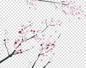 White-and-pink flowers illustration, South Korea Cherry, Korea Flower transparent background PNG clipart