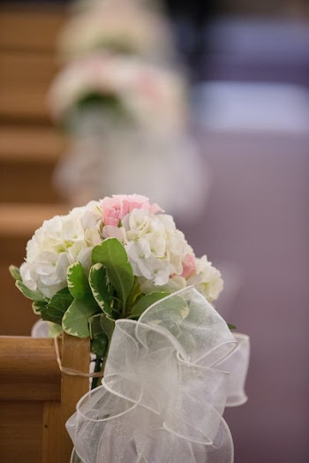 White And Pink Hydrangea Flowers