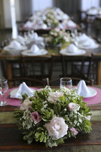 White And Pink Petaled Flowers 