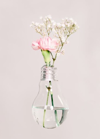 white and pink petaled flowers in clear glass LED bulb vase