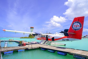 White and Red Airplane on Brown Wooden Boardwalk