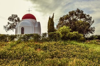 White and Red Cathedral Beside Green Trees