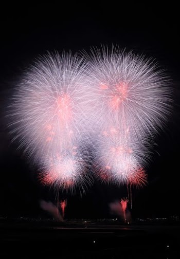 white and red fireworks display