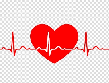 White and red heartbeat , Electrocardiography Heart rate Medicine , ECG heart transparent background PNG clipart