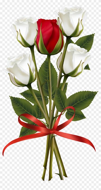 White And Red Rose Bouquet Transparent Png Clip Art - Red And White Rose Png