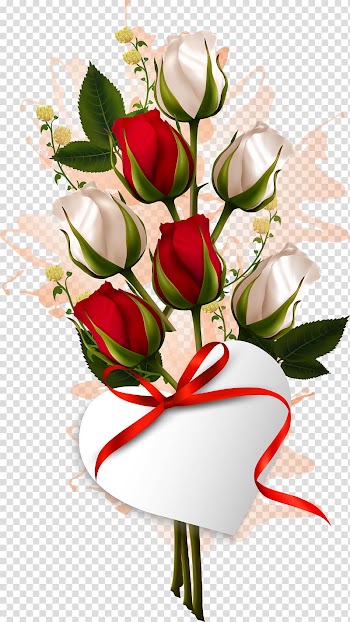 White and red rose illustration, Flower bouquet Valentines Day Rose , Rose transparent background PNG clipart