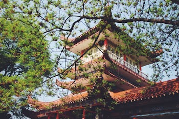 White and Red Temple during Day