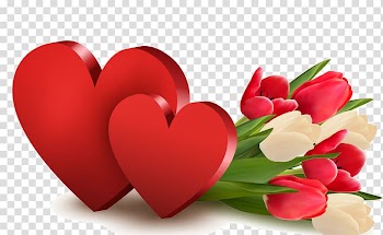 White and red tulip flower bouquet and two hearts illustration, Wedding anniversary Wish Greeting & Note Cards, happy wedding anniversary transparent background PNG clipart