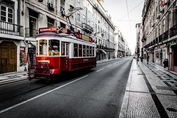 white and red vehicle on road