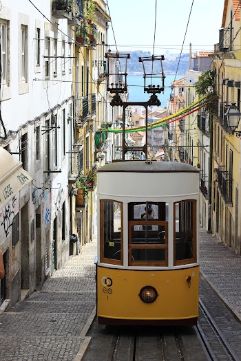 White and Yellow Cable Train