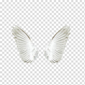 White angel wings, Angel , White angel wings transparent background PNG clipart