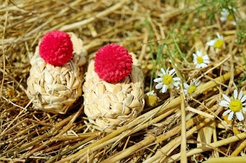 White Babys Breath Flower Beside Brown and Red Round during