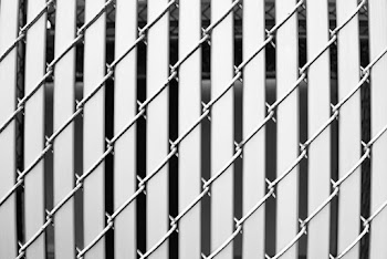 White Barbed Wire Fence