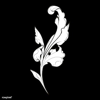 White Baroque floral elements vector | Free stock vector - 535385
