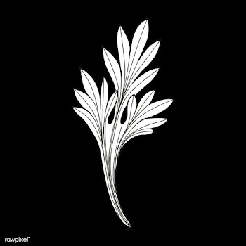 White Baroque floral elements vector | Free stock vector - 535401