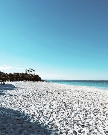 White Beach Sand and Shoreline