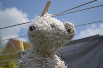 White Bear Plush Toy