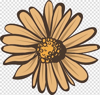 White , Beige autumn Daisy transparent background PNG clipart