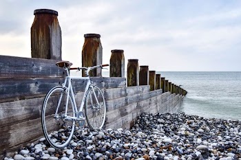 white bicycle at the side of brown wooden dock