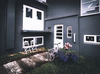 white bicycle parked beside green plant